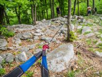 ProLink Winch Shackle Mount Assembly Blue Factor 55