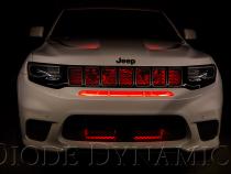 RGBW Grille Strip Kit 2pc Multicolor Diode Dynamics