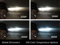 HID Bulb D3S 5000K Pair Diode Dynamics