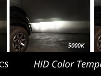 HID Bulb D6A 6000K Pair Diode Dynamics