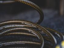 DuroBraid 30 ft Straight Hose Power Tank