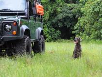 Super Swamper SSR 37x12.50R20LT Offroad Tires Interco Tire