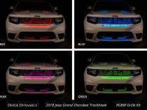 RGBW Grille Strip Kit 2pc Multicolor Diode Dynamics